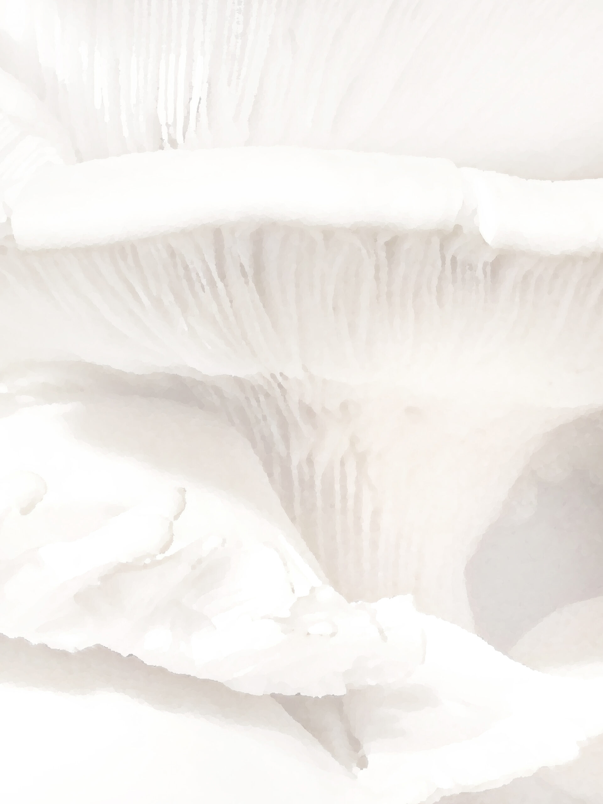 MYCELIUM 4 / 5315 pixels - 7087 pixels